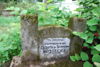 Elżbieta Kostecka