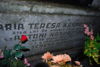Maria Teresa Kasprzycka