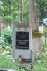 Albina Władyka