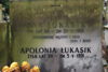 Apolonia Łukasik