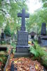 Apolonia Bone