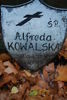 Alfreda Kowalska