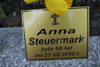 Anna Steuermark