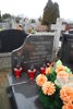 Marzenka Trefoń