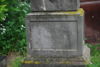 b.d. Króliccy