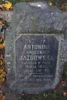 Antonina Jazdowska