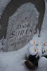 Janina Suryn