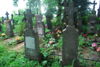 Adolf Hrygielewicz [Grygielewicz]