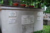 Wacława Pełkowska