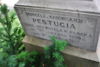 Domicela Pestugia