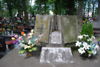 Amelia Wołowska