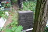 Józef Niżycki