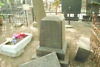 Szczęsny Rościszewski