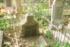 Kazimierz Krzyżanowski