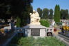Pelagia Hartwich