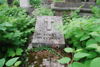 b.d. Miłowscy