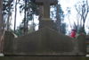 b.d. Darowscy