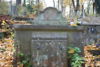 b.d. Forysz