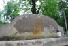 Kunegunda Surowiecka