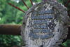 Modesta Kolankowska