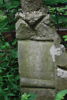 Józefa Szelewicka