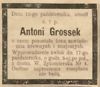 Antoni Grossek