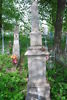 Honorata Zukowska