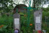 Eudoksja Wojno