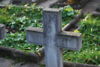 Jan Wachowiak