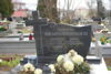 Honorata Krasnodębska
