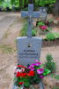 Albina Czyżewska