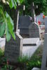 Antoni Sękowski