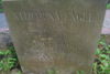 Georg Engel