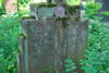 Klementyna Sternal