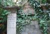 Franciszek Julian Fritz