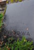 Bronisława Cielowa