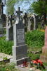 Albina Przyłucka