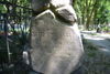 Józef Kamieński
