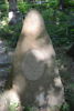 Teofila Strzelecka