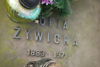 Zofia Żywicka