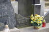 Stanisław Wittek