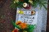 Johann Sopella