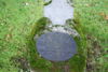 H. Hammerschmidt