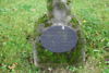 Elias Kiselew