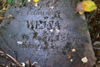 Edward Wejsa