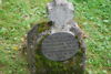 Gustaw Treske
