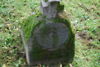 J. Kwaśniak