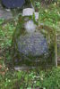 Johann Witt