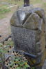 Władysław Steckiewicz