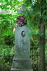 Anna Soszyńska